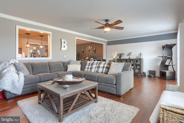 living room with ceiling fan, dark hardwood / wood-style flooring, and ornamental molding