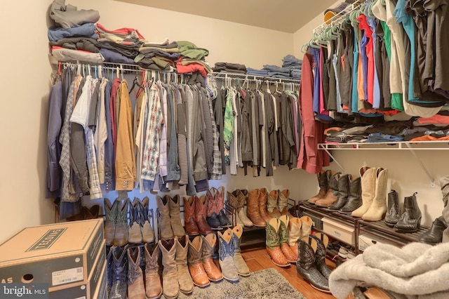 walk in closet with hardwood / wood-style flooring