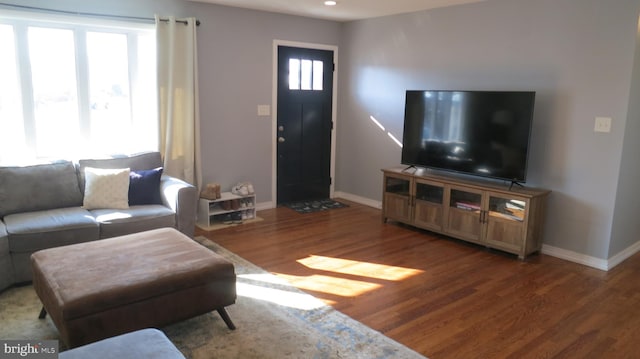 living room with hardwood / wood-style flooring