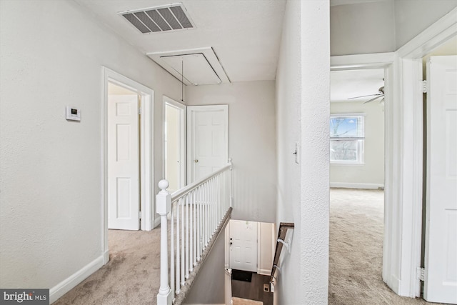 corridor with light colored carpet