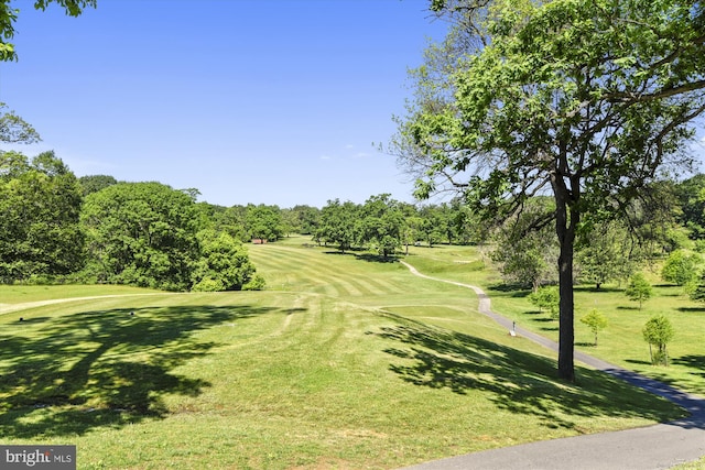 view of home's community with a lawn