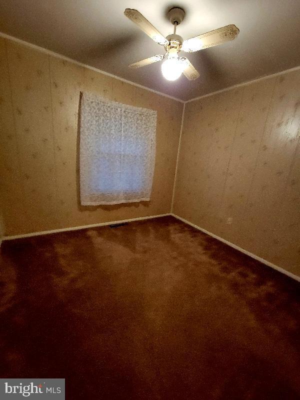 empty room featuring ceiling fan, wooden walls, and carpet floors