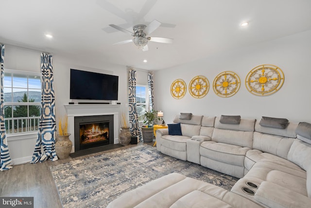 living room with hardwood / wood-style flooring, a wealth of natural light, and ceiling fan