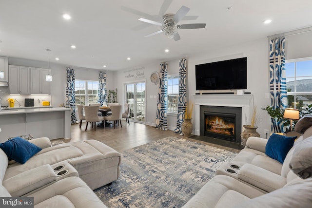 living room with ceiling fan and light wood-type flooring