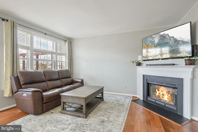 living room featuring crown molding and hardwood / wood-style floors