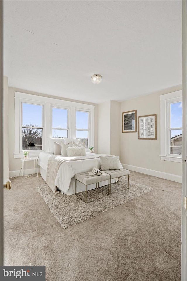 carpeted bedroom with multiple windows