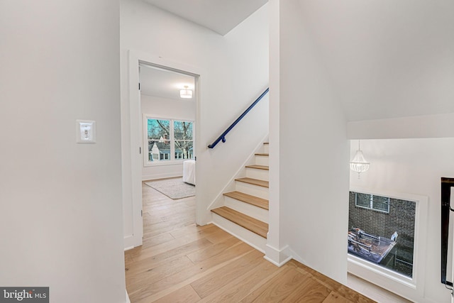 staircase with hardwood / wood-style floors