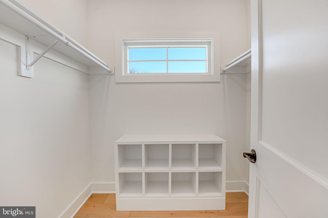 walk in closet with light wood-type flooring