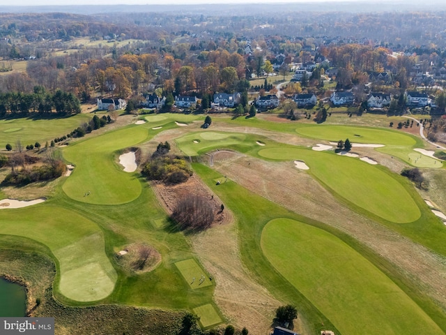 bird's eye view