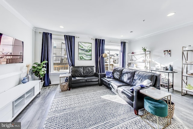 living room with wood-type flooring and crown molding