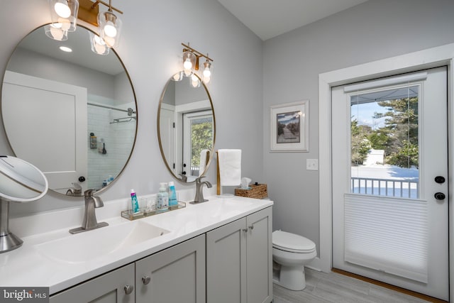 bathroom featuring vanity, toilet, walk in shower, and a healthy amount of sunlight