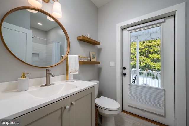 bathroom featuring toilet, vanity, and walk in shower