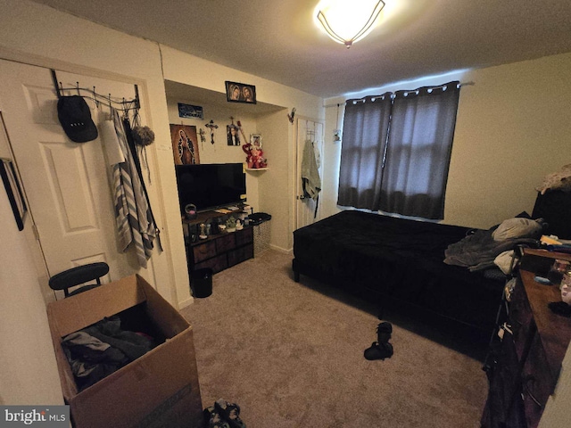 bedroom featuring carpet flooring