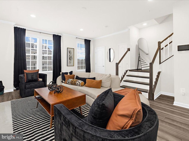 living room featuring crown molding and hardwood / wood-style flooring