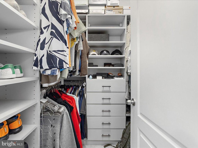 view of spacious closet