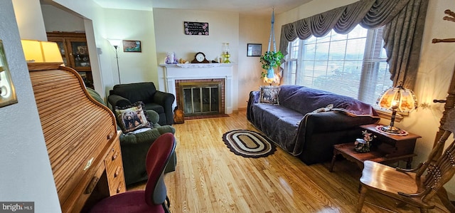 living room with a fireplace and hardwood / wood-style flooring