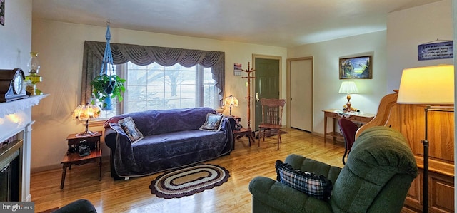 living room featuring light hardwood / wood-style flooring