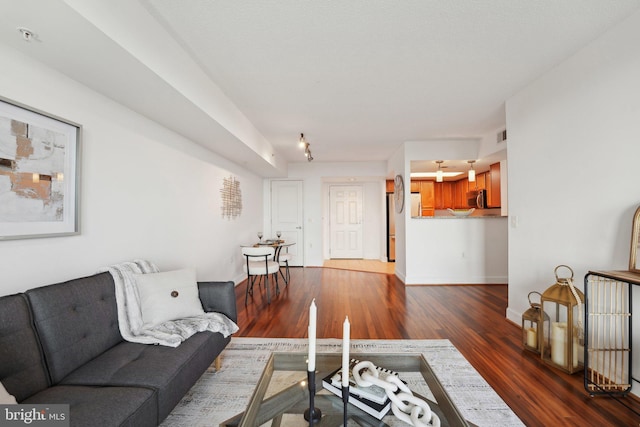 living room featuring dark wood-type flooring