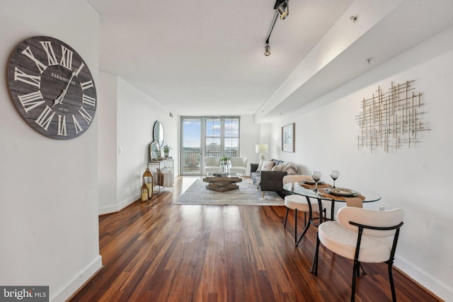 living room with rail lighting, a wall of windows, and dark wood-type flooring