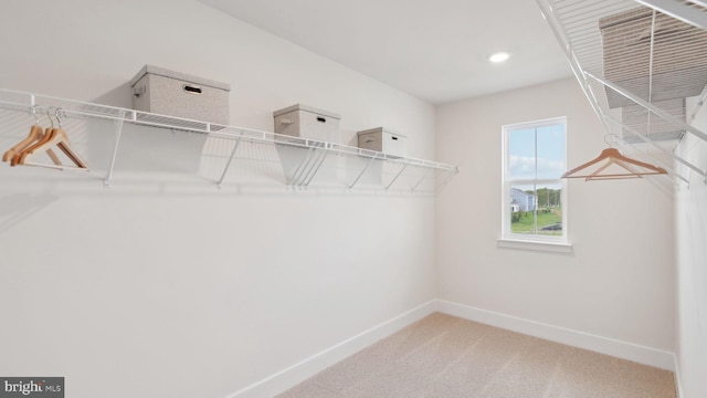 spacious closet with carpet