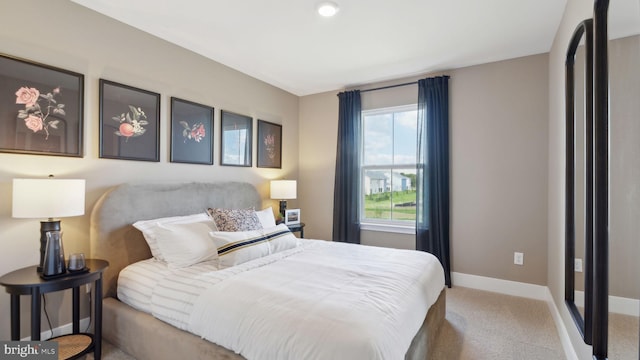 carpeted bedroom with multiple windows