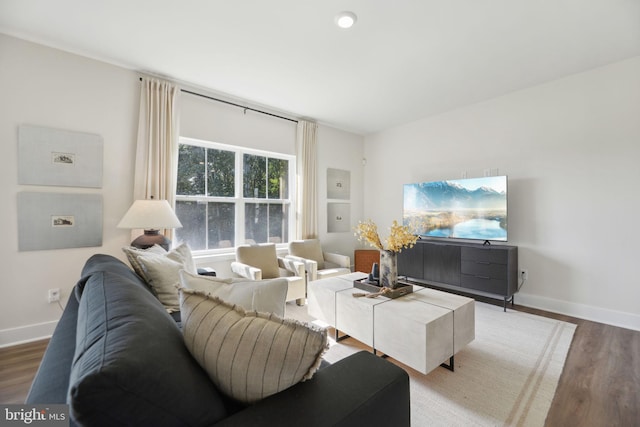 living room with wood-type flooring