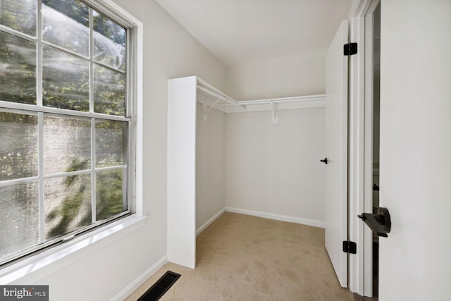 walk in closet featuring light colored carpet