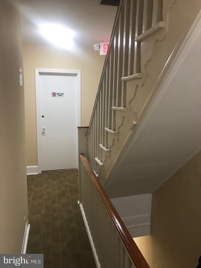 stairs with carpet floors