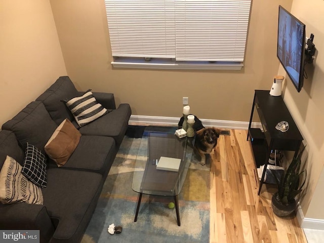 living room with hardwood / wood-style floors