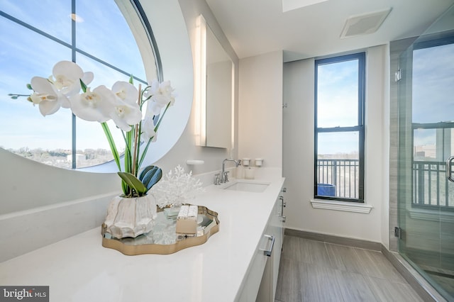 bathroom featuring vanity and an enclosed shower