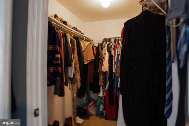 spacious closet with carpet floors