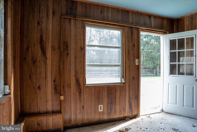 doorway with plenty of natural light and wood walls