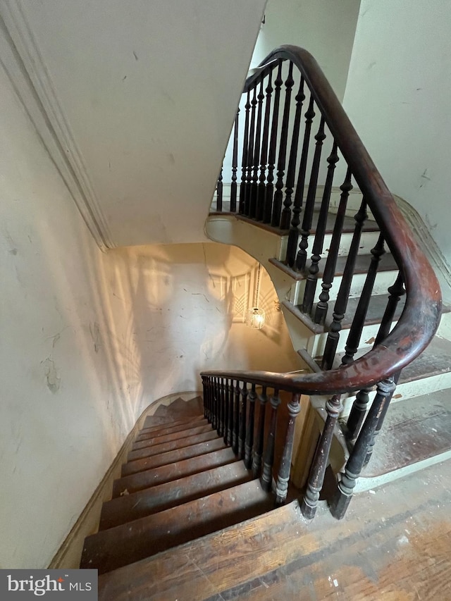 stairway featuring crown molding