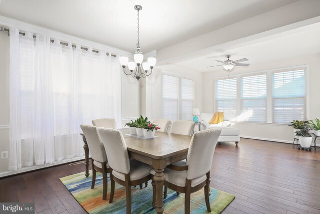 dining area featuring ceiling fan with notable chandelier and dark hardwood / wood-style floors