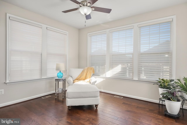 living area with a wealth of natural light, ceiling fan, and dark wood-type flooring