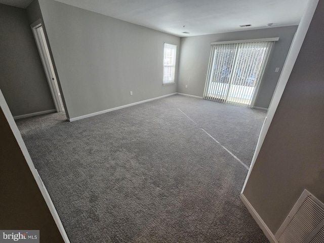 spare room with carpet