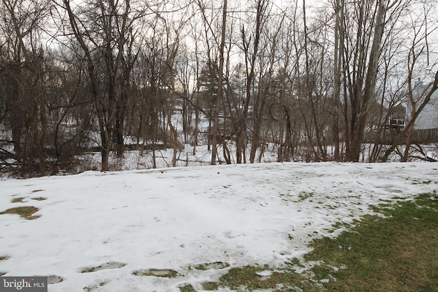 view of snowy yard