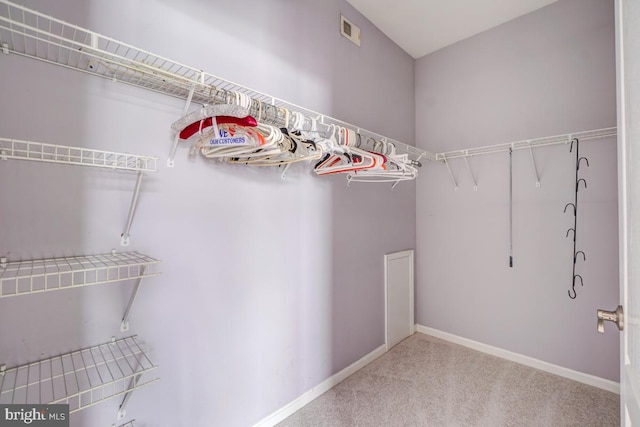 walk in closet featuring carpet flooring