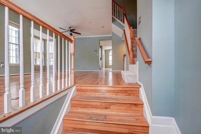 staircase with hardwood / wood-style flooring, ceiling fan, and crown molding