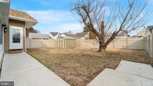 view of yard with a patio and a shed