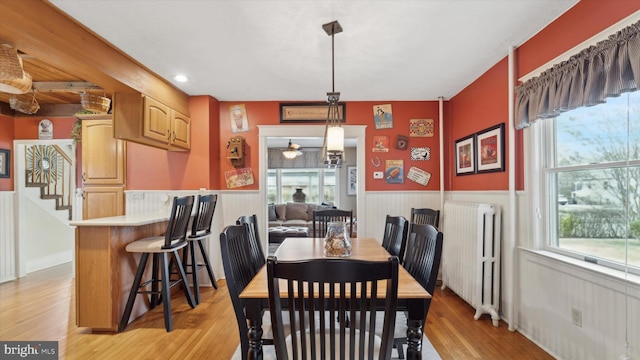 dining room with radiator heating unit, a wealth of natural light, and light hardwood / wood-style flooring