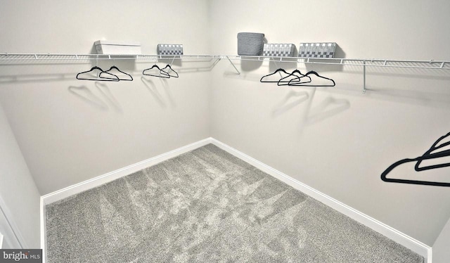 walk in closet with carpet