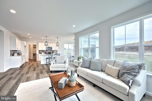 living room featuring wood-type flooring