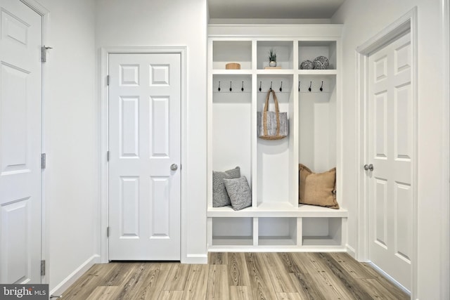 mudroom featuring wood-type flooring