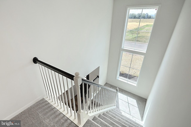 stairway with carpet