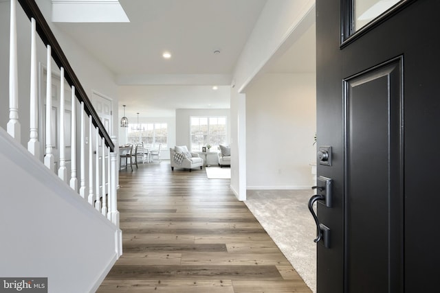 foyer entrance with hardwood / wood-style flooring