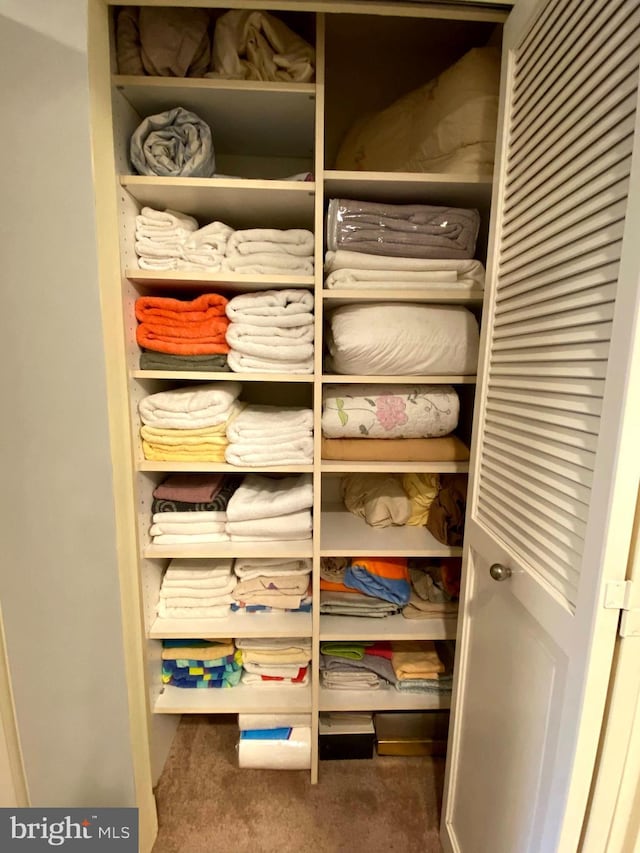 view of closet