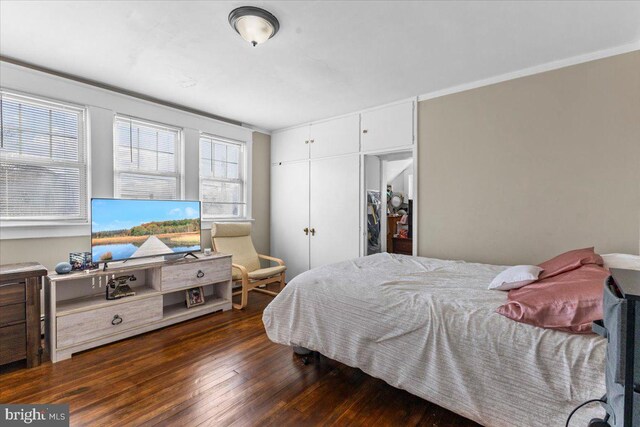 bedroom with dark hardwood / wood-style floors, a closet, and ornamental molding