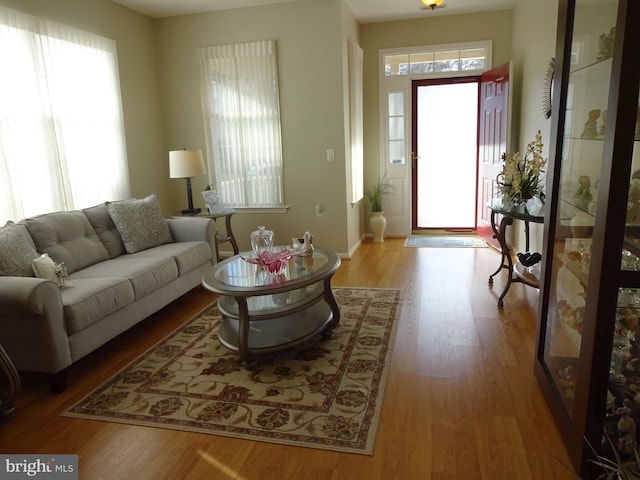 living room featuring light wood-type flooring