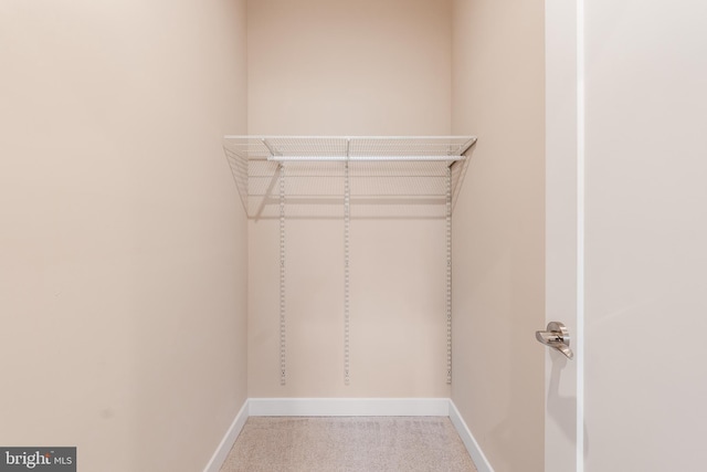 walk in closet with light colored carpet